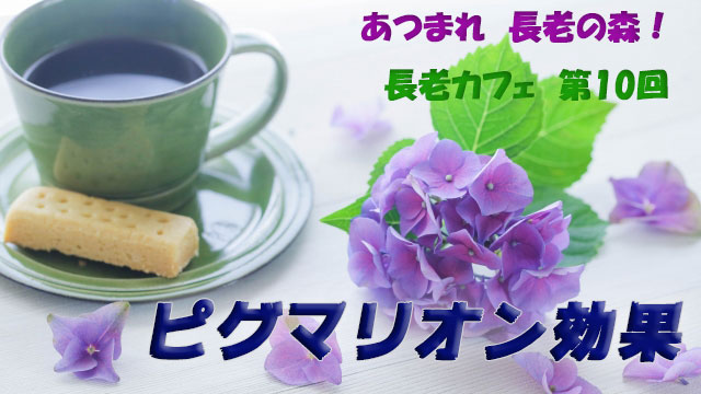 長老カフェ～ピグマリオン効果～