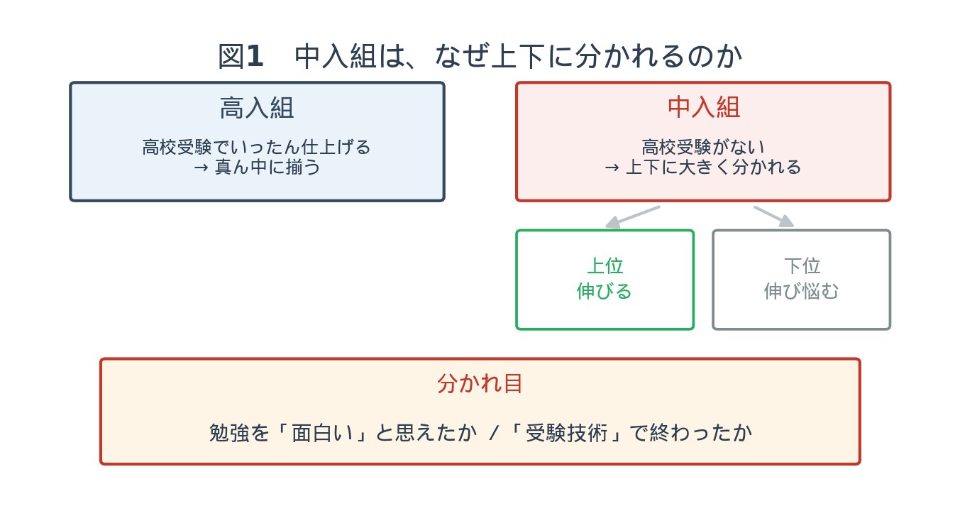 図1：中入組は、なぜ上下に分かれるのか — 高入組は高校受験でいったん仕上げる。中入組は高校受験がなく上下に分かれ、分かれ目は勉強を「面白い」と思えたかどうか